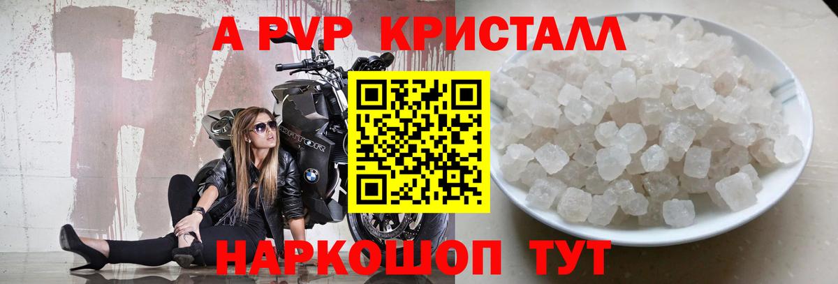 Alfa_PVP СК КРИС Армавир