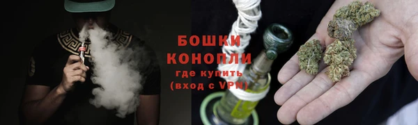 PSILOCYBIN Баксан
