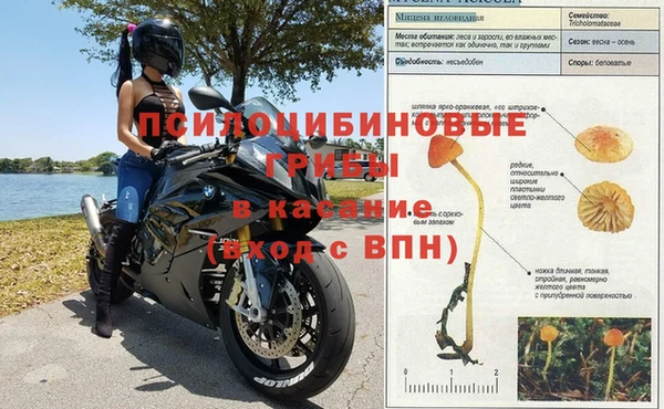 PSILOCYBIN Баксан