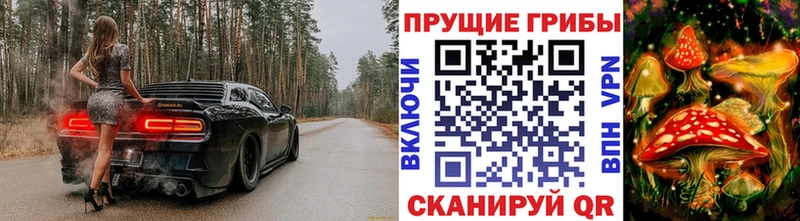 Псилоцибиновые грибы Psilocybine cubensis  Армавир 