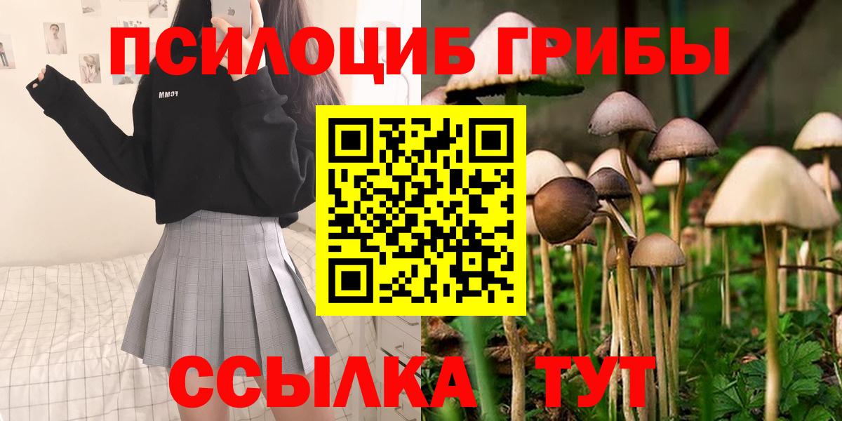 Псилоцибиновые грибы MAGIC MUSHROOMS  Вход с VPN  Армавир  Псилоцибиновые грибы мухоморы 